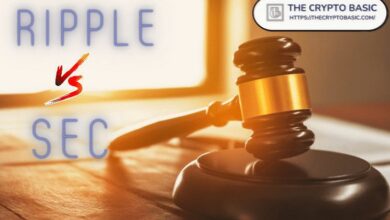 قضية ريبل ضد SEC: خبير ينفي شائعة تخلي الهيئة عن استئناف ريبل - اكتشف التفاصيل الآن!