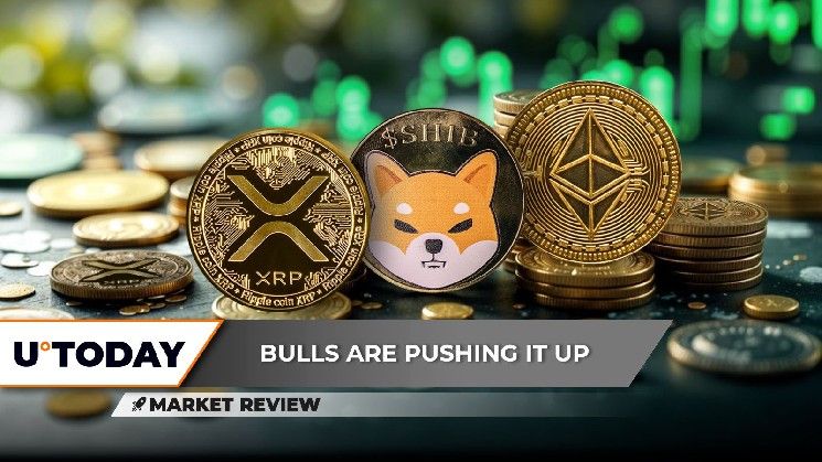 "XRP قد تحقق أكبر اختراق في 2025، بينما يتوقف الارتفاع القوي لـ Shiba Inu (SHIB)، وإيثريوم (ETH) في طريقه إلى 2000 دولار – اكتشف التفاصيل الآن!"