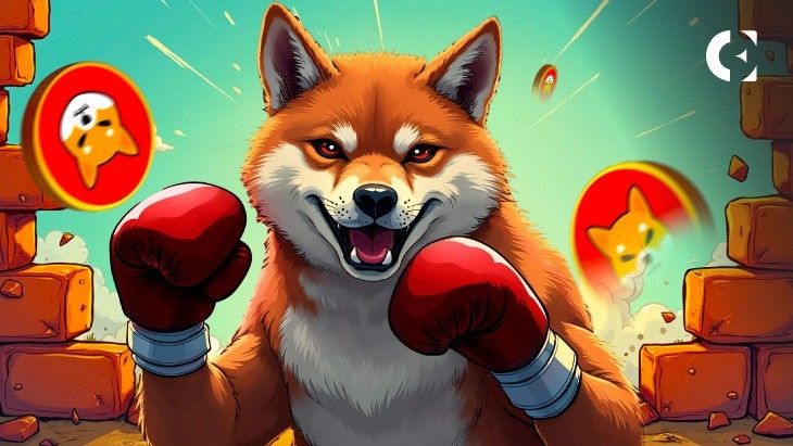 "انتباه: تحليلات تشير إلى أن إغلاق دوجكوين عند 0.20 دولار قد يُطلق صعودًا نحو 0.25 دولار – هل حان وقت الشراء؟"