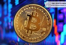 "توم لي من Fundstrat يتوقع أن يتجاوز البيتكوين الذهب الآن بعد انتهاء عملية تخفيض الرافعة المالية – اكتشف السبب!"