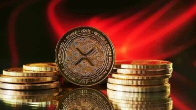 تنبيه: انهيار وشيك لسعر XRP – تعرف على التفاصيل الآن!