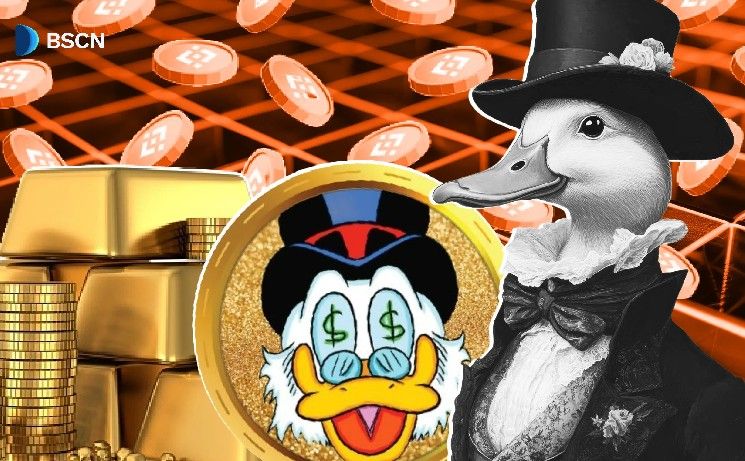 الغوص العميق في RichQUACK: من عملة ميمي إلى منصة التمويل اللامركزي (اكتشف التحول الآن!)