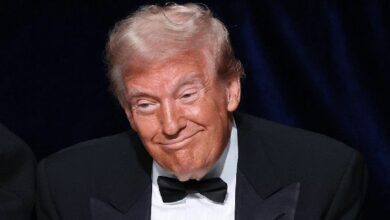 "اكتشف تصنيف TRUMP: من يتصدر مأدبة عملة ميم ترامب؟ تعرف على المتنافسين الآن!"