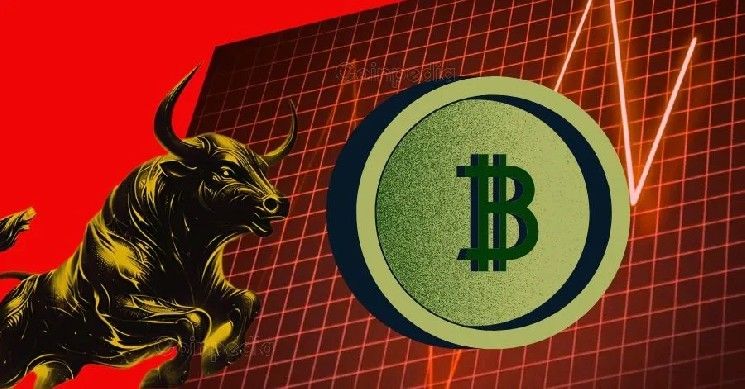 توقع سعر البيتكوين اليوم: الهدف القادم 130,000 دولار - تعرف على التفاصيل الآن!
