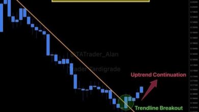 "قصة معسكرين في عالم العملات الرقمية: تعرف على الصراع الأكبر!"