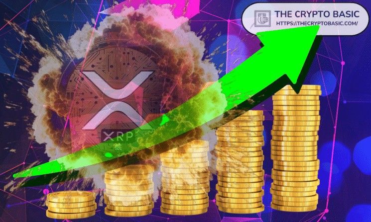 "دليل استثمار XRP من Bitwise: لماذا يجب على المحترفين التفكير في الاستثمار في XRP؟"