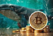 تراكم البيتكوين لدى الحيتان يصل إلى أعلى مستوى منذ أبريل 2024 - اكتشف التفاصيل الآن!