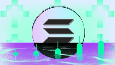 "سولانا (SOL) تقفز 20% في أسبوع مع ارتفاع حجم التداول على DEX ورسوم البروتوكول – اكتشف التفاصيل الآن!"