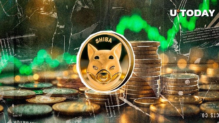 شيبا إينو (SHIB) يتفوق على جميع المنافسين خلال 24 ساعة: التفاصيل الكاملة