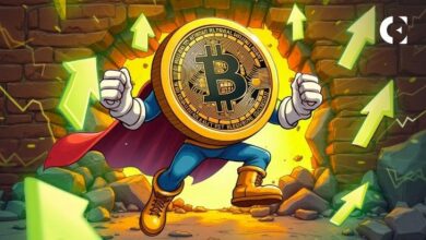 "بتكوين يصل إلى 94 ألف دولار مع تصفية المراكز القصيرة وزيادة ثقة المستثمرين – تعرف على التفاصيل!"