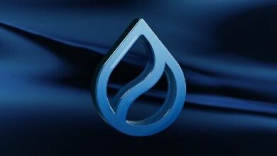 "شبكة Sui تحقق 500 مليون دولار من دمج USDC، مما يعزز قوة نظام SUI البيئي – اكتشف التفاصيل الآن!"