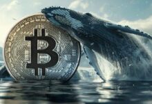 "تحويل 128 مليون دولار من البيتكوين (BTC) من Bitfinex إلى Kraken: ما السبب وراء هذه الخطوة؟"