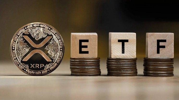 "رئيس أكبر مُصدر للصناديق الاستثمارية المتداولة (ETF) يتوقع أن يحقق XRP أعلى فائدة.. اكتشف التفاصيل الآن!"