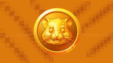 **"أكواد وشفرات لعبة Hamster Kombat وبطاقات الكومبو ليومي 2 و3 أبريل – اكتشفها الآن!"**