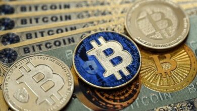 "صندوق Blackrock's IBIT يقترب من امتلاك 600,000 بيتكوين مع تسارع نمو احتياطي صناديق ETF – اكتشف التفاصيل الآن!"