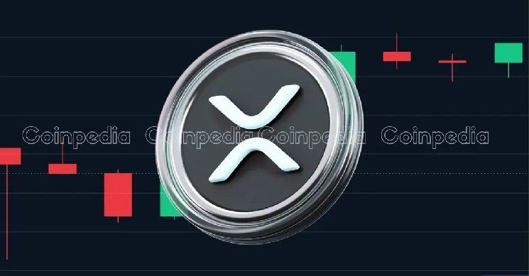 لماذا يرتفع سعر XRP اليوم؟ اكتشف الأسباب الآن!