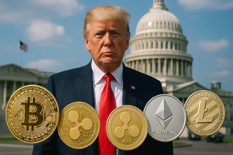 "تنظيم العملات الرقمية وسلوك الرؤساء تحت المجهر: ما تحتاج إلى معرفته الآن!"