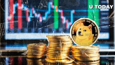 478 مليون عملة DOGE تنتقل بغموض وسط انخفاض في حجم التداول – اكتشف التفاصيل الآن!