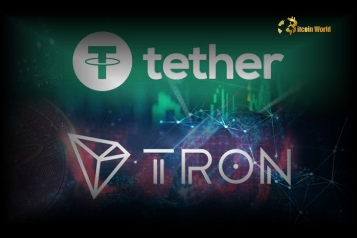 "إصدار عملة USDT على شبكة TRON يشهد طفرة هائلة بقيمة 70 مليار دولار – تعرف على التفاصيل الآن!"