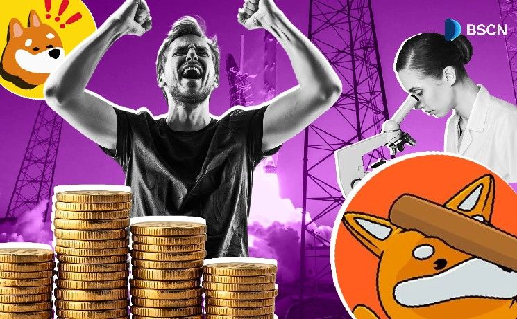 "LetsBONK.fun: كل ما تحتاج معرفته عن منصة Memepad الجديدة لـ BONK – اكتشف التفاصيل الآن!"