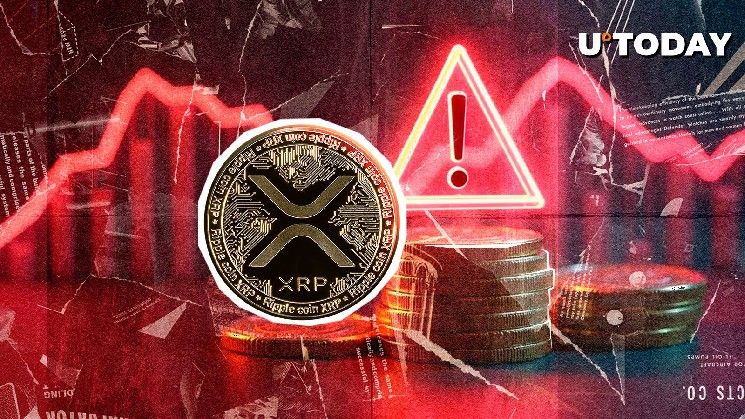 "مجتمع XRP يحذر من تهديد جديد.. ماذا حدث؟ (تفاصيل خطيرة)"
