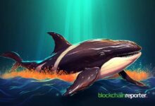 "حوت يشترِك في شراء Fartcoin بينما تبادلات FTM تشير إلى تحركات ذكية – اكتشف التفاصيل الآن!"