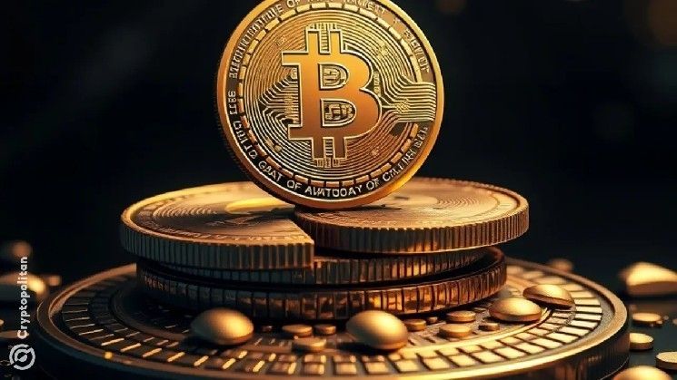 تهديد الاستقرار المالي: 16 عامًا من الفراغ التنظيمي في عالم العملات الرقمية – اكتشف التفاصيل الآن!