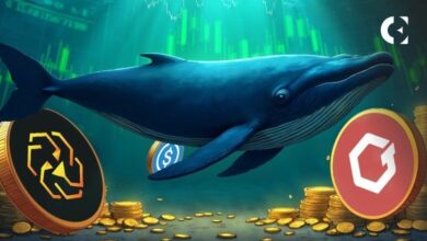 أي العملات الرقمية تشهد أكبر مشتريات من الحيتان حاليًا؟ (بيانات أبريل 2025)