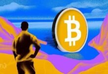 "بعد عام على آخر تخفيض لمكافأة البيتكوين: لماذا يختلف هذا الدورة عن سابقاتها؟ اكتشف الأسباب الآن!"