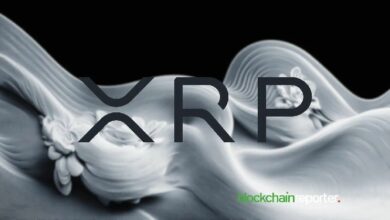 "رسم بياني لقائمة أغنى حاملي XRP: فهم توزيع الثروة بين المستثمرين – اكتشف التفاصيل الآن!"