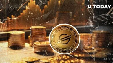 "حيتان ستيلار مفضلة منافس XRP: 49,555,947 XLM تنتقل على السلسلة – اكتشف التفاصيل الآن!"