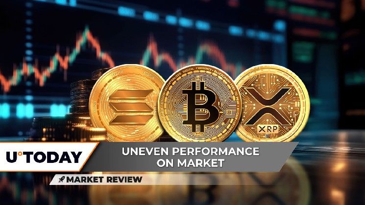 "سولانا (SOL) على حافة الانهيار الحاسم، بيتكوين (BTC) تتجه نحو 100 ألف دولار، XRP: نائمة أم على وشك الصعود؟ اكتشف الآن!"