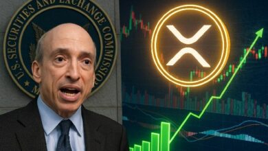 أخبار XRP: جينسلر يتحدث بعد انسحاب هيئة الأوراق المالية الأمريكية من استئناف قضية Ripple – تعرف على التفاصيل الآن!