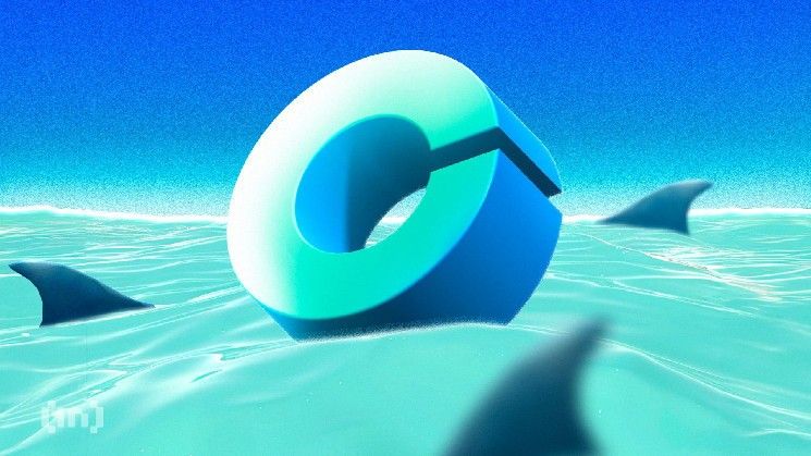 "رئيس أمن المعلومات في Coinbase يتحدث عن منع عمليات الاحتيال مع خسائر سنوية تبلغ 300 مليون دولار – تعرف على كيفية الحماية الآن!"