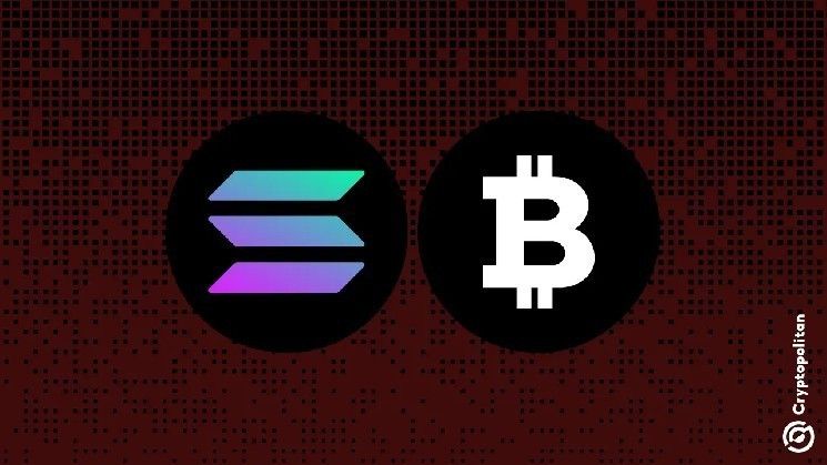 "بيتكوين وسولانا تحتفظان بالهيمنة على سوق العملات الرقمية رغم تباطؤ الربع الأول 2025 – اكتشف التفاصيل الآن!"