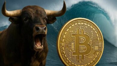 "دورة الصعود للبيتكوين لم تنتهِ بعد – محلل بارز يتوقع موجة مؤسسية قادمة (تعرف على التفاصيل!)"