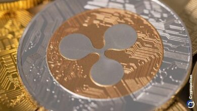 "دبي تختار شبكة XRP ليدجر لتوحيد العقارات الرقمية مع تسجيل 3000 مستثمر – اكتشف التفاصيل الآن!"