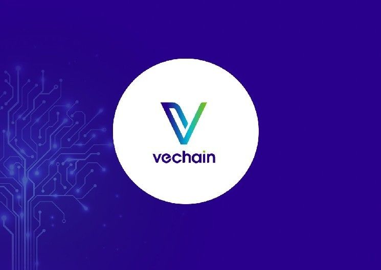"تحديث VeChain الثوري Renaissance يُطلق في يوليو 2025: ما الجديد لـ $VET؟ اكتشف التفاصيل الآن!"