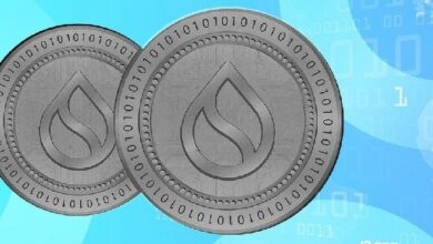 "كيتوس تكشف عن خطة التعافي وتستعين بـSUI لقرض جسر – تعرف على التفاصيل الآن!"