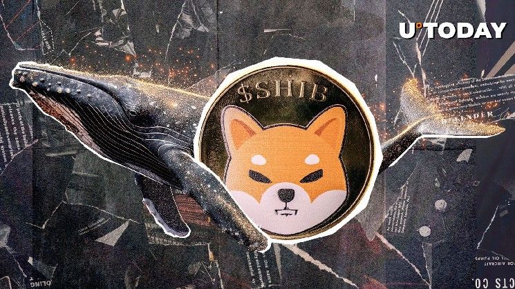 612,300,642,168 SHIB تنتقل إلى محفظة حوت غامض – اكتشف التفاصيل الآن!