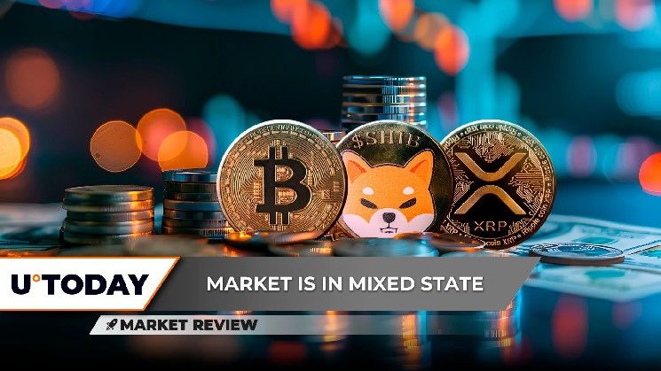 "بيتكوين (BTC): التقاطع الذهبي ليس كافيًا، حجم شيبا إينو (SHIB) يقترب من الصفر، XRP يواجه خطر خسارة 2 دولار لكن 3 دولارات ممكنة – اكتشف التفاصيل الآن!"