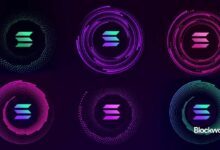 "برنامج سولانا يدعم هذه سلاسل الطبقة الأولى – اكتشف كيف!"