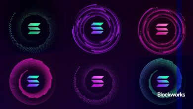 "برنامج سولانا يدعم هذه سلاسل الطبقة الأولى – اكتشف كيف!"