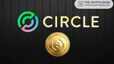 "سيركل تنفي خطط بيع نفسها لـ Coinbase أو Ripple – اكتشف التفاصيل الكاملة الآن!"