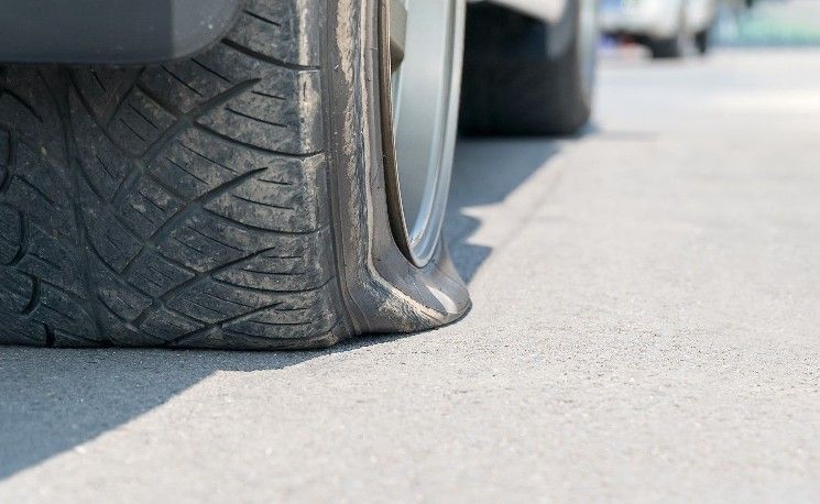 "الإيثيريوم العملة الرقمية الوحيدة في المنطقة الخضراء.. XRP ثابت بعد خطط الخزانة الضخمة – تعرف على التفاصيل!"