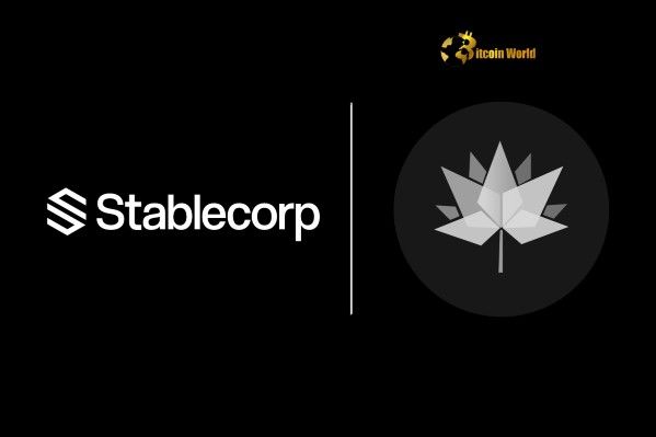 "تمويل Stablecorp يعزز توسع عملة QCAD المستقرة المرتبطة بالدولار الكندي – اكتشف التفاصيل الآن!"