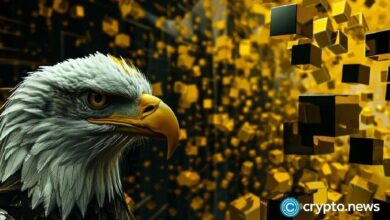 "مع اقتراب نهاية قضية SEC ضد Binance: هل سببت الدعوى الضرر بالفعل؟ اكتشف الآن!"