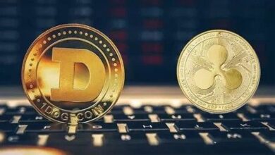 تحذير من شركة تحليل: مراكز مضاربة خطيرة على XRP و DOGE – اكتشف التفاصيل الآن!