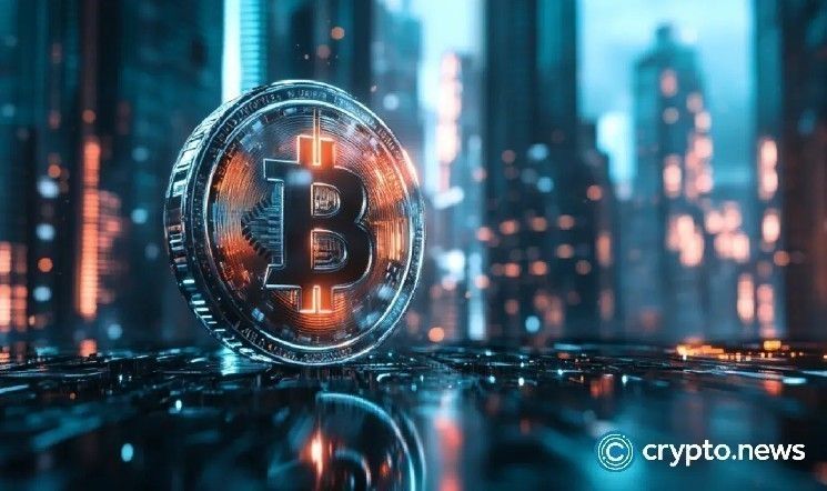 سهم DigiAsia يرتفع بعد الإعلان عن تخصيص 50% من الأرباح لشراء البيتكوين – اكتشف التفاصيل الآن!