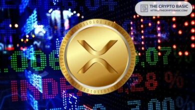 خبير يتوقع: XRP سيدخل احتياطي العملات الرقمية في نيو هامبشاير العام المقبل إذا تحقق هذا الشرط!